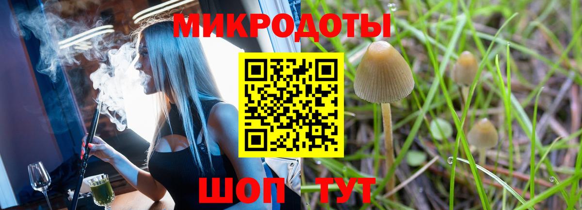Псилоцибиновые грибы Cubensis  Вход с VPN  Соликамск  Псилоцибиновые грибы Psilocybine cubensis 